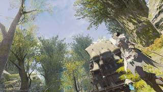 shirotae_0524_03.jpg